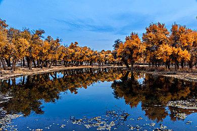 传闻：Switch将持续获得支持 还会有两款复刻版游戏